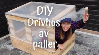 DIY drivhus av paller