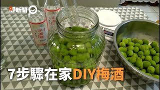 7步驟在家輕鬆DIY梅酒！泡製6個月...開封享受佳釀｜料理 ... 