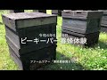 「ビーキーパー養蜂体験」-ミツバチの世界- 富良野市ふるさと納税返礼品