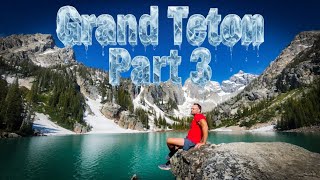 Epic Grand Teton Hike to Delta Lake | Black Bear Encounter, Steep 8-Mile Trail & Ash Stuck in a Tree