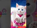 أغنية القطة مابحبش أزعل حد بستك ناو قطة كيوت ترند صاوي قطة تغني Cute Cat Cat Song Song أغنية القطة مابحبش أزعل حد بستك ناو قطة كيوت ترند صاوي قطة تغني Cute Cat Cat Song Song