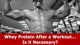 Whey Protein After a Workout [Is it Necessary?]