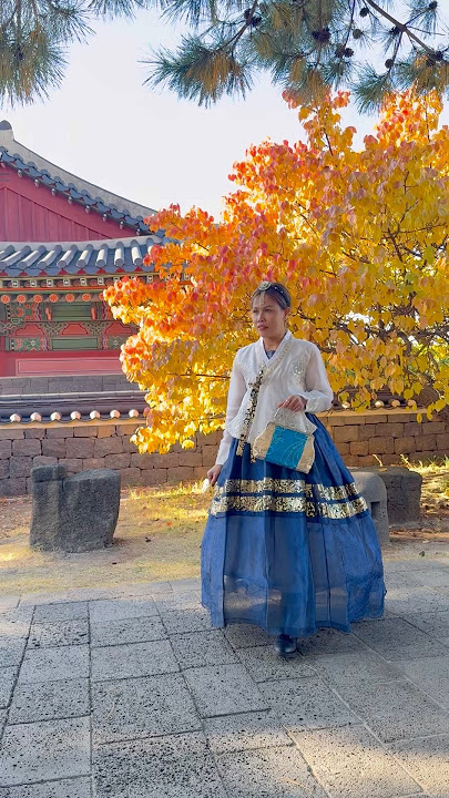 Help help help 😅 #hanbok #jeju #southkorea #shorts #funny