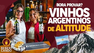 Vinhos Argentinos de Altitude | Bora Provar?