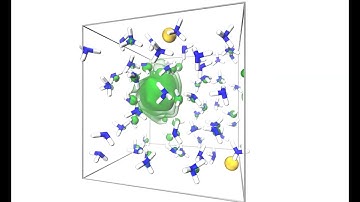 Dielectron in liquid ammonia