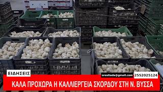 ΚΕΝΤΡΙΚΟ ΔΕΛΤΙΟ   12-3-26