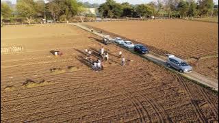 GH Patel Farm, Nandol, Gujarat (Potato Farming 4K Experience)