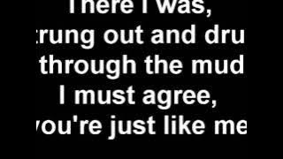 Falling In Reverse - Caught Like A Fly Lyrics