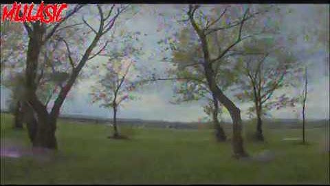 RunCam Split 2 - maiden flight DVR video - AIO 1080P/60fps Recording & WDR FPV Cam - raw file upload