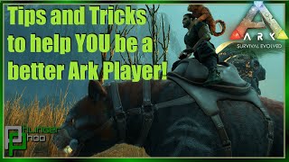TIPS EVERY ARK PLAYER SHOULD KNOW in 2022