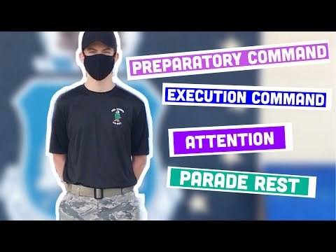 Preparatory/Execution Commands with Attention and Parade Rest Tutorial