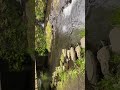 リラクゼーション 阿蘇 白川水源