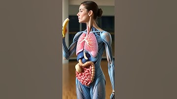 What Happens Inside Your Body After Eating a Banana | 3D Digestion Animation