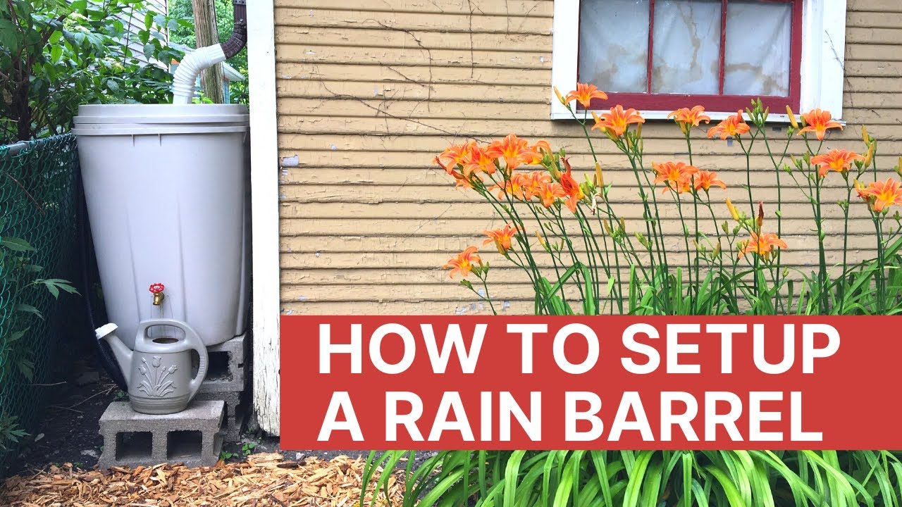 How to Setup a Rain Barrel to Collect Water for Your Garden - YouTube