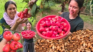 Gadis Sabah || Harvest Juicy fruits & picking some bugs🐛🐞 to make some money #villagelife