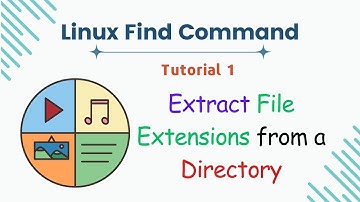 Bash Script: Listing Unique File Extensions in a Directory