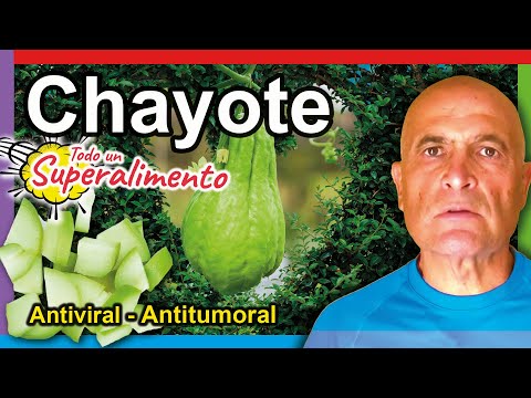 Vídeo: Chayote Comestible