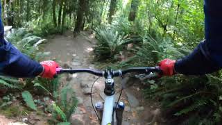 NICOLE’S - FAST MTB TECH TRAIL in Burnaby Mountain, BC
