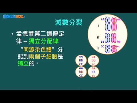 高中生物_生命的特性_生命現象_5. 生長、發育與繁殖、運動與感應_洪良宜