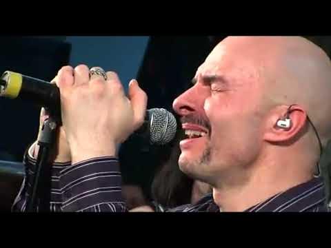 Tukli mushuklar HD videolar