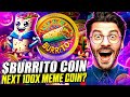 NEW MEME $BURRITO COIN | flavorful Adventure | Solana Base Coin