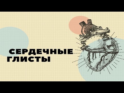 Сердечные глисты. Дирофиляриоз собак. Симптомы заболевания.