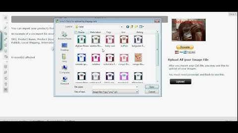 WP e-Commerce CSV Importer - Upload Thumbnail Image