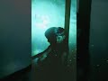 light show