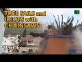 Tree fails and idiots with chainsaws - EPIC FAIL Compilation. Part 6