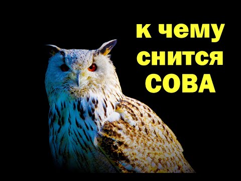 к чему снится сова