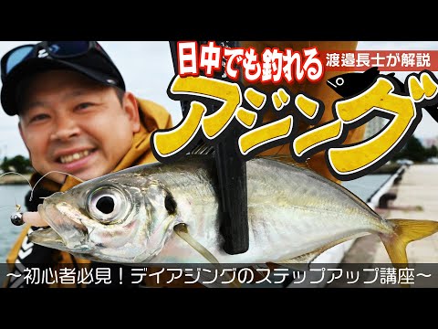 日中でも釣れます！ダイワ・渡邉長士が教えるデイアジング