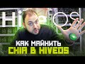 Как Майнить Chia в HiveOS | Очередной день из Жизни Майнера