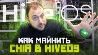 Как Майнить Chia в HiveOS | Очередной день из Жизни Майнера