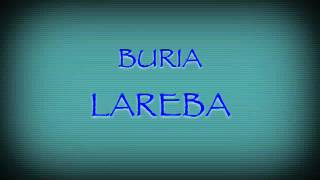 Buria lareba