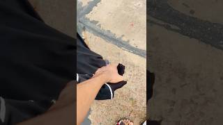 নবীনগর স্মৃতিশোত #shorts #tiktok #love #vlog #romantic