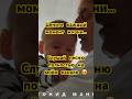 🎵 отрывок авторской песни на стихи Леонида Мангупли — «До самой старости мы дети»