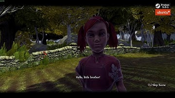 Proton 5.0-1 Steam Linux | Fable Anniversary | GTX 1650 | Ubuntu 19.10 | Playable | 60 frame | game