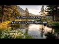 Find Peace in the Quiet Moments of Life 🌼 Soft Guitar, Cello &amp; Flute for Deep Relaxation