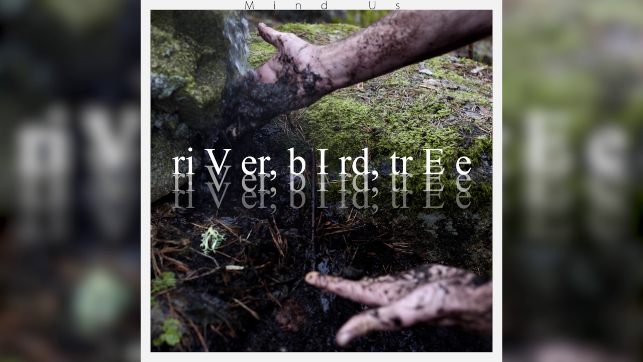 Mind Us - riVer, bIrd, trEe (Audio)
