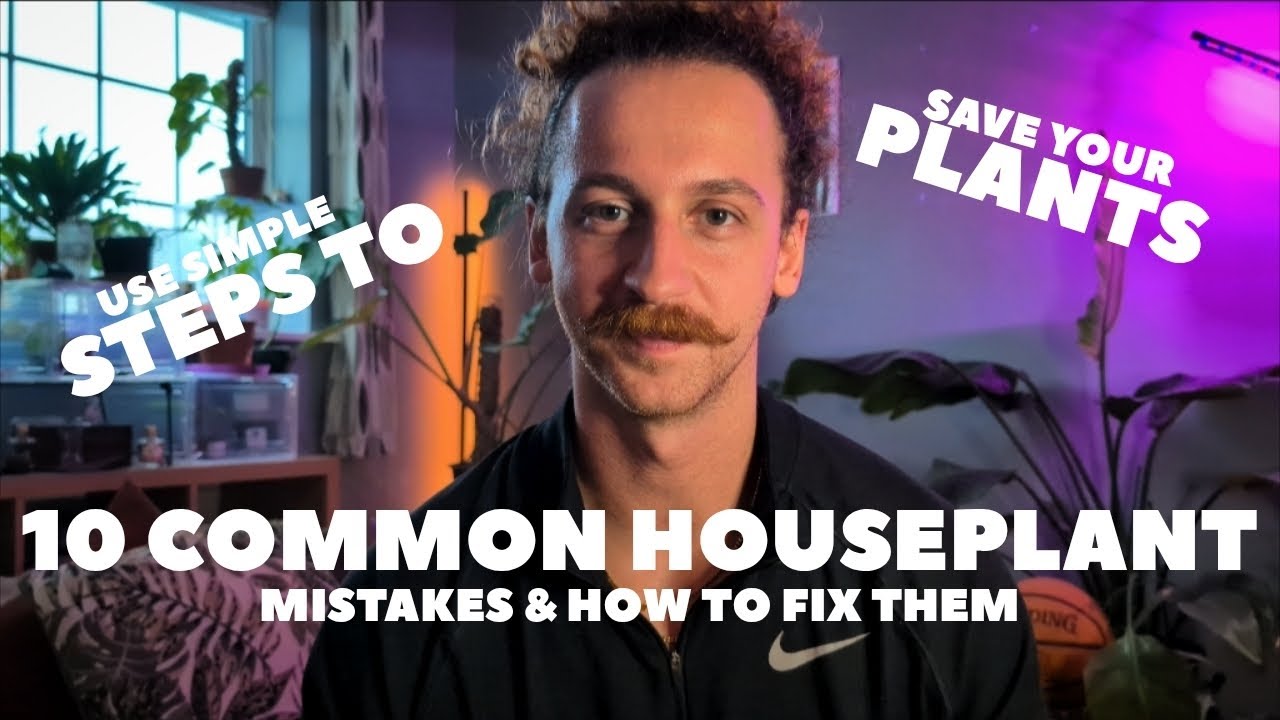 10 ошибок при уходе за комнатными растениями, которые вы, вероятно, совершаете (и как их исправит...