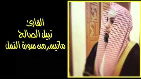 نبيل الصالح / ماتيسر من سورة النمل