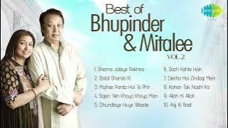 Best of Bhupinder Mitalee Ghazals Vol 2 | Shama Jalaye Rakhna | Botal Sharab Ki | Dekha Hai Zindagi