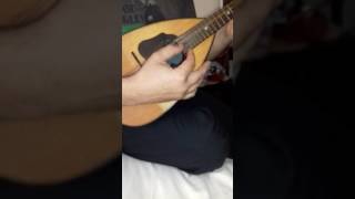 mandolin italy for kong