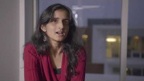 Transform your life at the Treehouse Festival