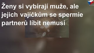 Ženy si vybírají muže, ale jejich vajíčkům se spermie partnerů líbit nemusí