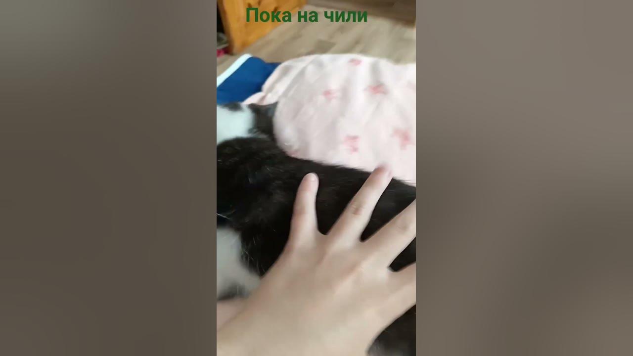 жирная жопа - YouTube