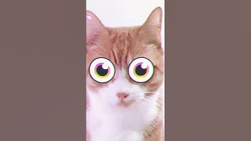 The Future of Crypto Gaming is finally here! - Part1 #blockchaingame #crypto #gaming #metaverse