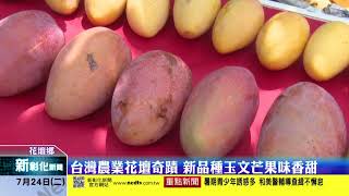 新彰化新聞20170724 台灣農業花壇奇蹟新品種玉文芒果味香甜