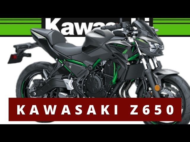 Kawasaki Z650, Naked Motorcycle