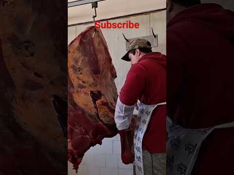 Cutting a Beef